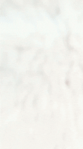 Gamer Mono GIF by Youtooz