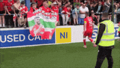 Red Army Fans GIF by Cliftonville Football Club