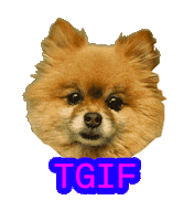 Dog Friday Sticker by Maje Paris