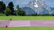 take off travel GIF by Alaska Airlines