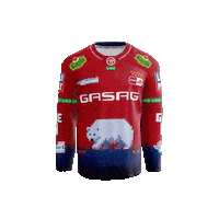 Pixel Celebration Sticker by Eisbären Berlin
