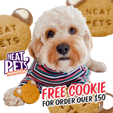 Cookies Cute Dog Sticker by Neat Pets Mementos