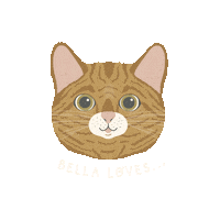 Bella Sticker