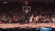 gostanford  GIF