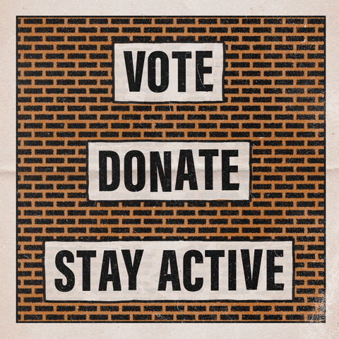 Vote Donate GIF by Ben Tuber