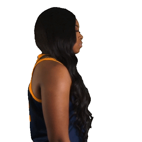 College Sports Sport Sticker by Chattanooga Mocs