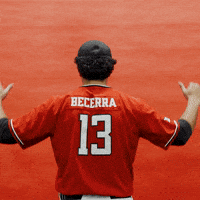 Donovan Becerra GIF by Texas Tech Baseball