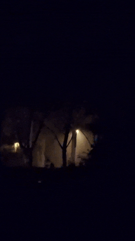 Simongip giphyupload GIF