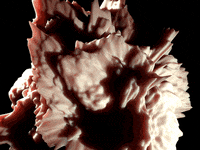 c4d GIF by Martin Onassis