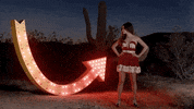 kacey musgraves GIF