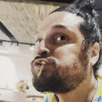 Goosify eating eat chew goosify GIF