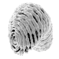 Moving Black And White Sticker by Vince Mckelvie