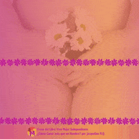 Mujer Independiente Frases Libros GIF by Jacqueline M.Q.