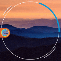 GIF by Viral Amplifier