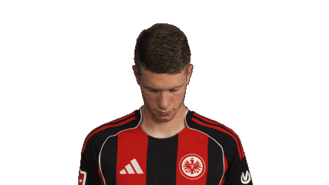Eintracht Frankfurt Sticker by Bundesliga