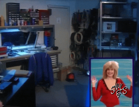 Snuls giphygifmaker wtf porter sourd GIF