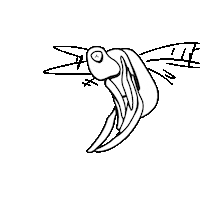 Animation Flying Sticker by Lior Shkedi