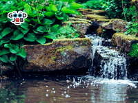 Sonstige-Dienstleistungen 15000-20000-Eur GIF by FranchiseONE.de
