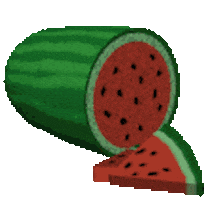 watermelon STICKER