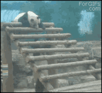 et tu GIF