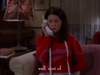 season 1 netflix GIF by Gilmore Girls 