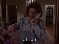 season 1 netflix GIF by Gilmore Girls 