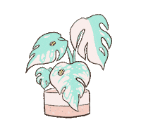 Plant Monstera Sticker
