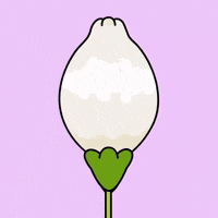 Good Morning Hello GIF by FROSTYS