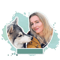 Photoshoot Siberianhusky Sticker by mrackova.foto