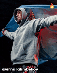 Ufc Mma GIF