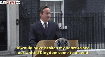scotland david cameron GIF