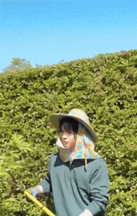 Thai Win GIF