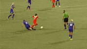 orlando pride soccer GIF by Houston Dash