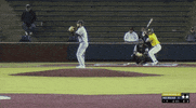 College Baseball GIF by Purdue Fort Wayne Athletics