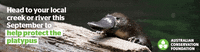 River Creek GIF by Australian Conservation Foundation