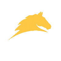 Horses Horse Training Sticker by Parelli Natural Horsemanship