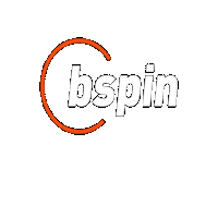 BSpin_io bspin Sticker