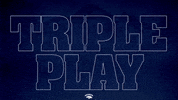 Baseball Softball GIF by Nevada Wolf Pack