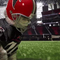 Cat Nfl GIF by Atlanta Falcons