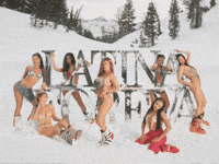 Bichota GIF by Karol G