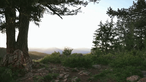 simplyivoryvideography giphyupload GIF