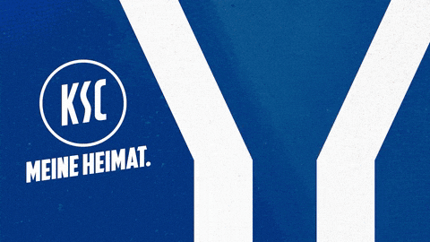 Head Coach Soccer GIF by Karlsruher SC