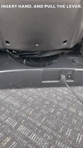 Brigray giphygifmaker GIF