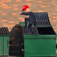 Donald Trump GIF by NYSDESIGN