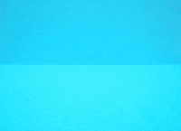 Trump Voting GIF by Mochimochiland