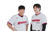 Kbo Sticker by Kiwoom Heroes Baseball Club