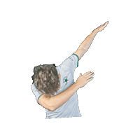 Sticker by Groene ster