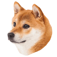 adlibfashion valentinesday shiba pjai Sticker
