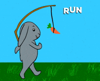 BunBea running run rabbit bea GIF