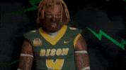 Bison Hart GIF by NDSU Athletics